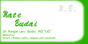 mate budai business card